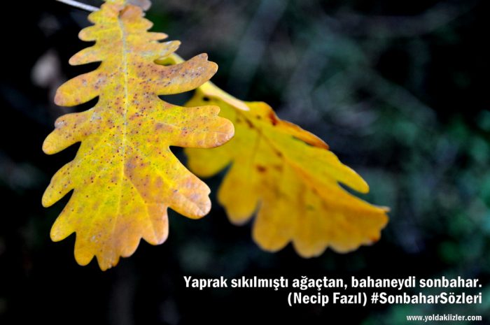 Sonbahar Sözleri En guzel sonbahar sozleri 700x465 - Sonbahar Sözleri