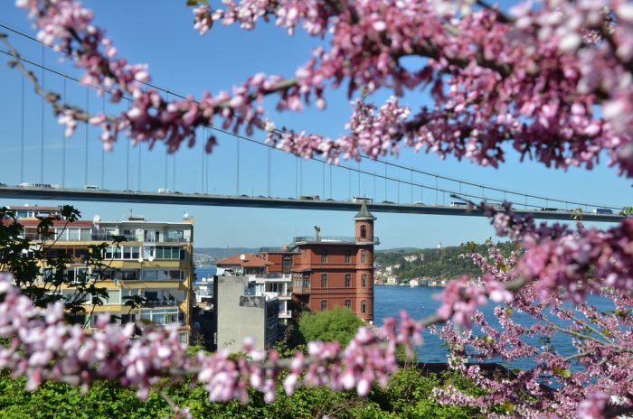 Rumeli Hisarı'nda Erguvanlar Arasında Boğaz Seyri Erguvan Bogaz Kopru 700x464 - Rumeli Hisarı'nda Erguvanlar Arasında Boğaz Seyri