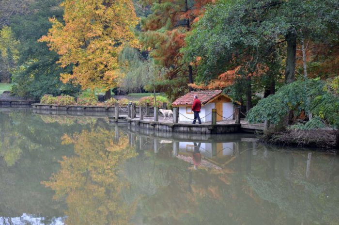 Atatürk Arboretumu : Sonbaharın Şarkısı Sariyer Ataturk Arboretumu 700x464 - Atatürk Arboretumu : Sonbaharın Şarkısı