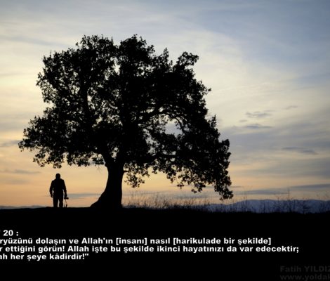 Seyahati teşvik eden ayetler