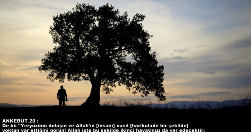 Seyahati teşvik eden ayetler