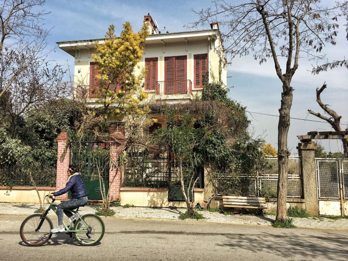 Büyükada'da Mimoza Kokulu Bahar ada mimoza bisiklet 700x525 - Büyükada'da Mimoza Kokulu Bahar