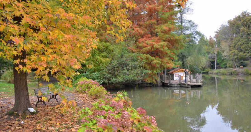 ataturk arboretumu sonbahar 805x423 - Atatürk Arboretumu : Sonbaharın Şarkısı