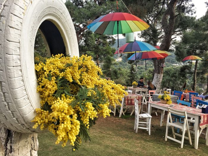 Büyükada'da Mimoza Kokulu Bahar buyukada mimoza kafe 700x525 - Büyükada'da Mimoza Kokulu Bahar