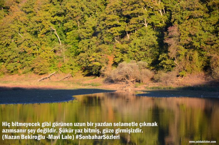 Sonbahar Sözleri en guzel sonbahar fotograflari 700x464 - Sonbahar Sözleri