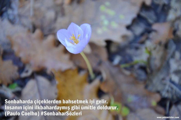 Sonbahar Sözleri eylul sozleri 700x464 - Sonbahar Sözleri