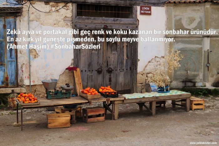 Sonbahar Sözleri guz mevsimi sozleri 700x465 - Sonbahar Sözleri