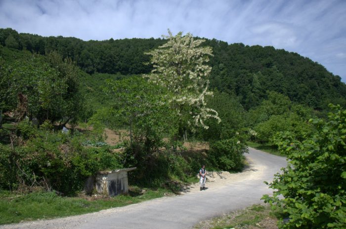 Melen Çayında Rafting harmankaya koyu duzce 700x464 - Melen Çayında Rafting