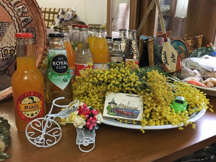 istifhane muzesi mimoza 700x525 - Büyükada'da Mimoza Kokulu Bahar