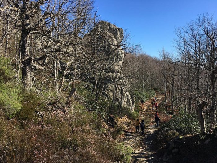Mono Petra Kayalıkları : Bir Trakya Masalı istranca ormani monopetra trekking 700x525 - Mono Petra Kayalıkları : Bir Trakya Masalı