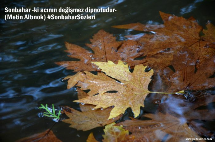 Sonbahar Sözleri kasim sozleri 700x464 - Sonbahar Sözleri