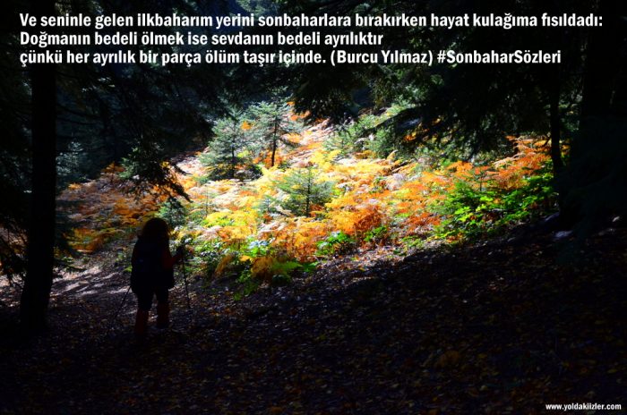 Sonbahar Sözleri sonbahar guzel sozler 700x464 - Sonbahar Sözleri