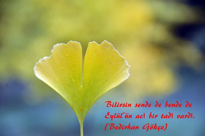 sonbahar siirleri 1 700x464 - Sonbahar Şiirleri