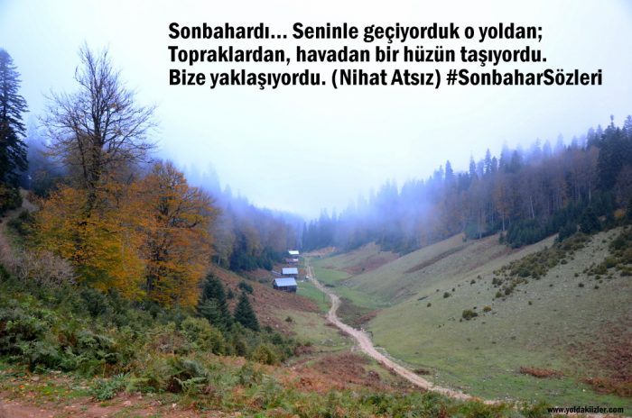 Sonbahar Sözleri sonbahar siirleri 700x464 - Sonbahar Sözleri