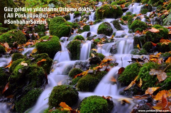 Sonbahar Sözleri sonbahar siirleri fotograf 700x464 - Sonbahar Sözleri