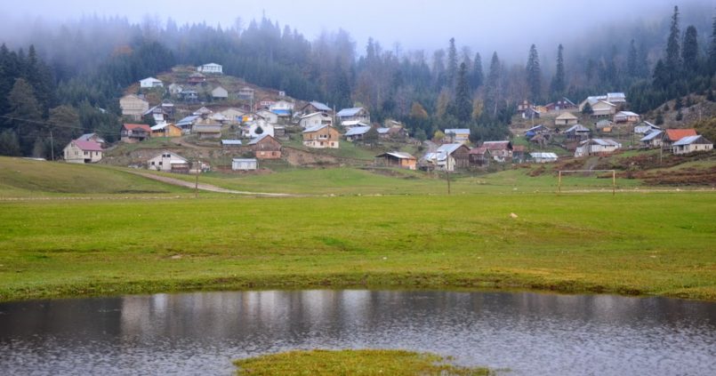 hendek cigdem yaylasi 805x423 - Dikmen Yaylası'ndan Çiğdem Yaylası'na Sonbahar Geçişi