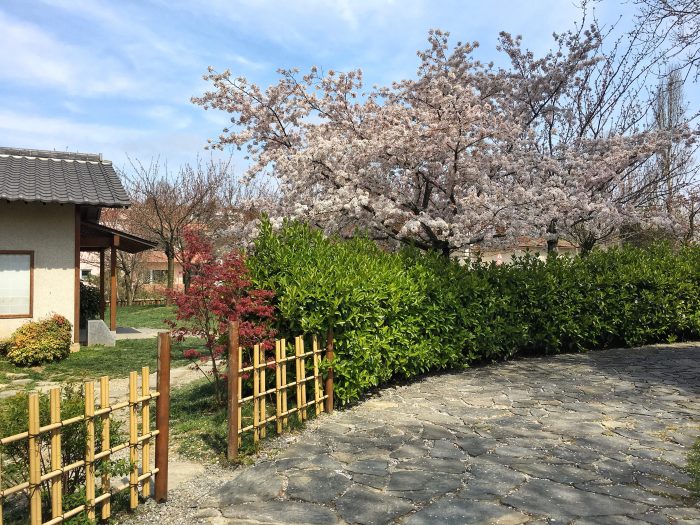 Baltalimanı Japon Bahçesi baltalimani japon parki 700x525 - Baltalimanı Japon Bahçesi
