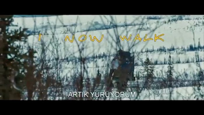into the wild film yurumek 700x394 - Into The Wild : Yolda Geçen Doğada Biten Bir Hayat