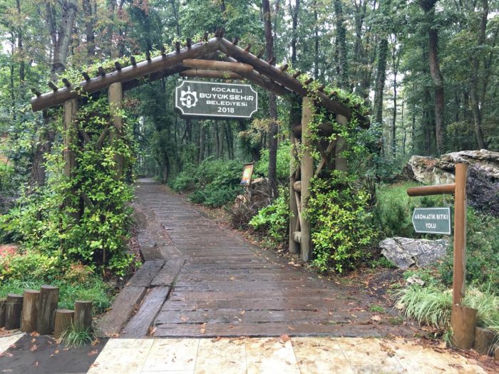 ormanya aromatik bitki yolu 700x525 - Ormanya : Hobbitlerin Masal Gibi K&ouml;y&uuml;