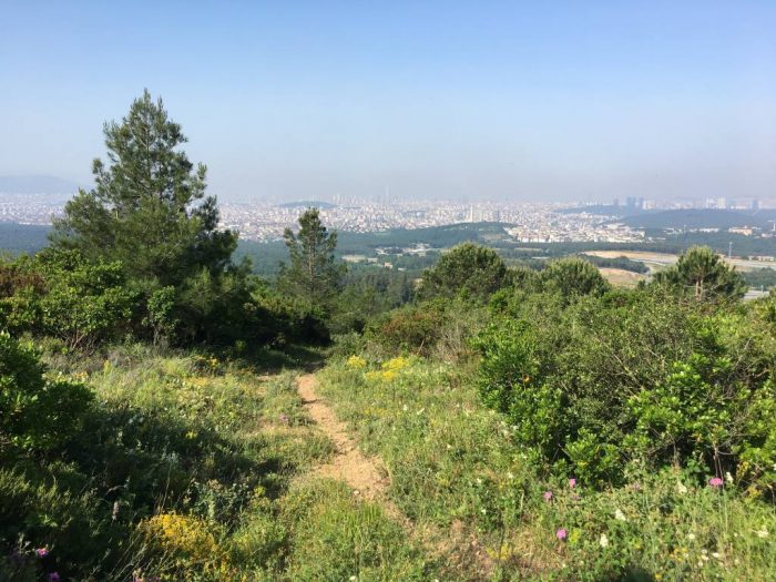 Çekmeköy Alemdağ : İstanbul'un En Yüksek İkinci Tepesi alemdagdan umraniye 700x525 - Çekmeköy Alemdağ : İstanbul'un En Yüksek İkinci Tepesi