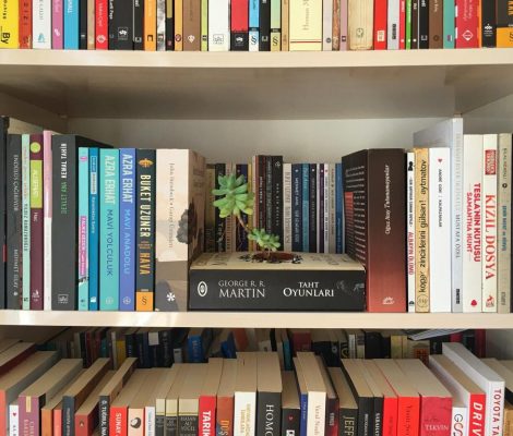 kitap saksi 470x400 - Kitap Saksı Yapımı
