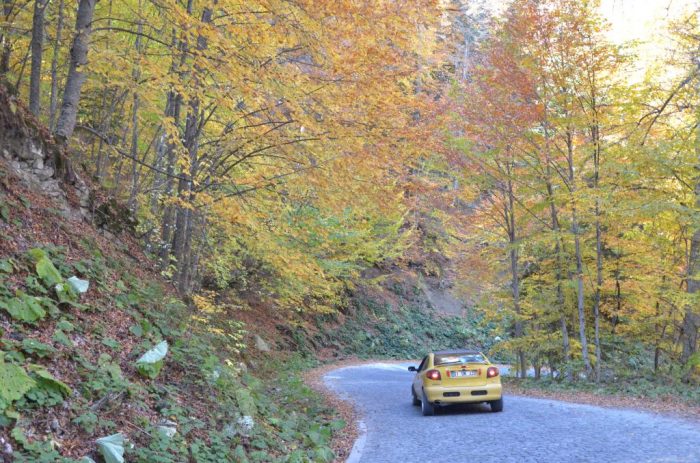 yedigollere nasil gidilir 700x463 - Yedig&ouml;ller Sonbaharın &Ccedil;ığlığı